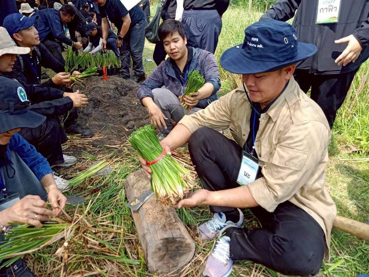 ภาพประกอบที่ 14