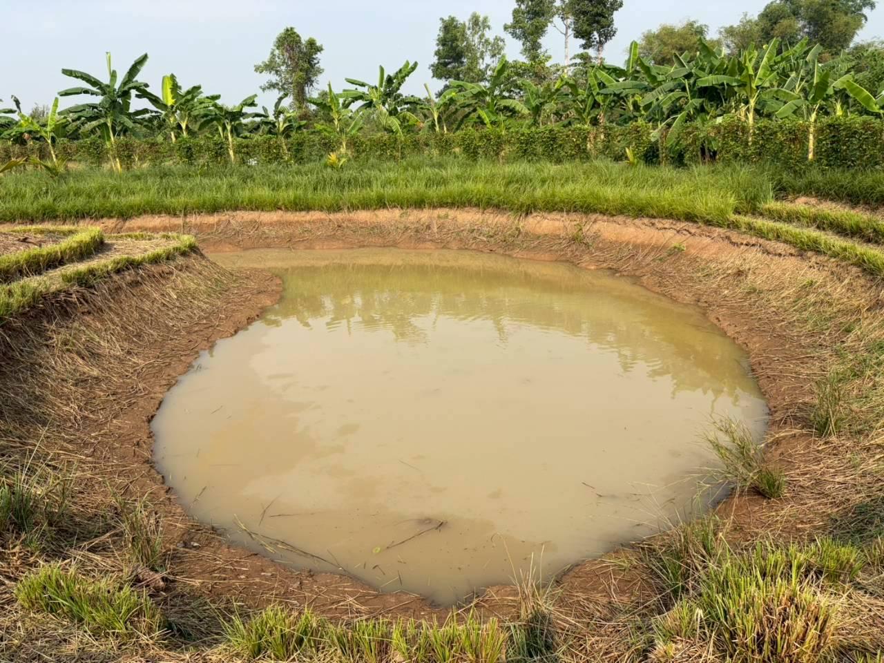 ภาพประกอบที่ 23