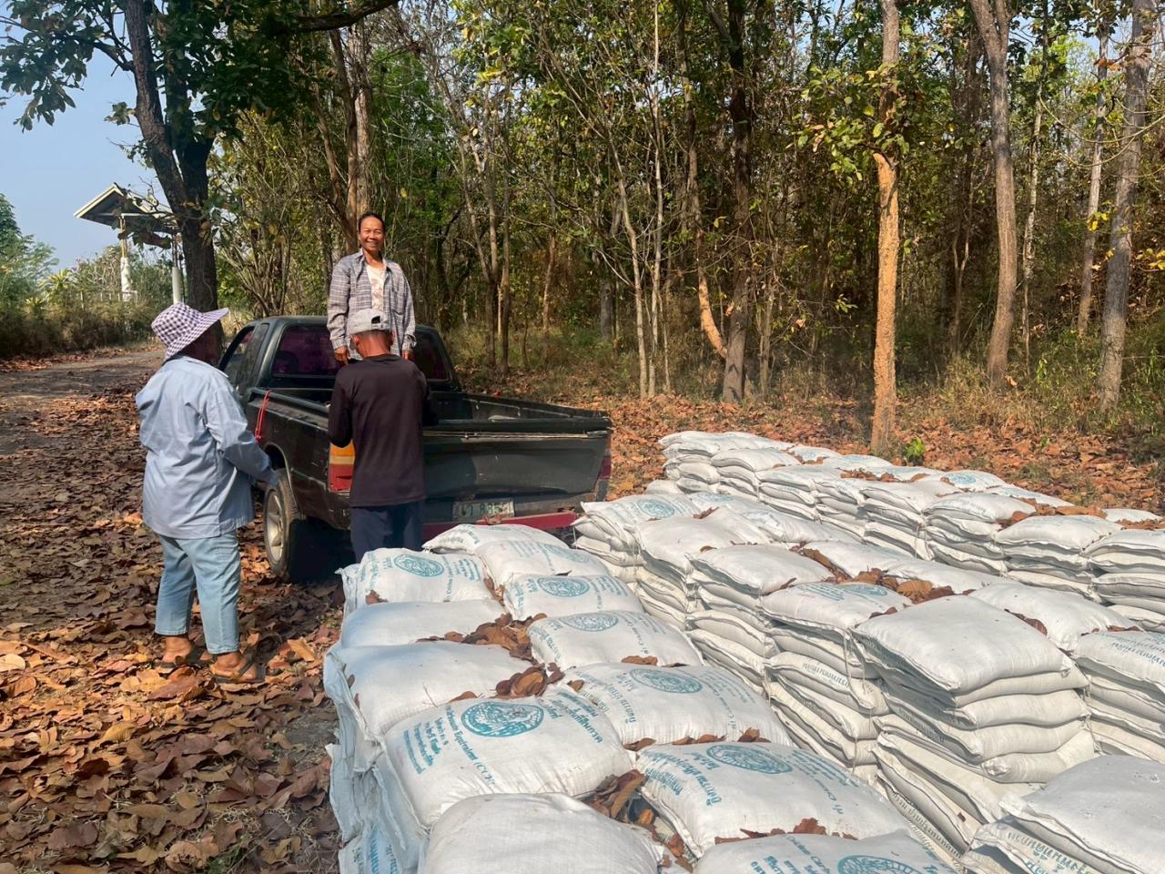 ภาพประกอบที่ 0