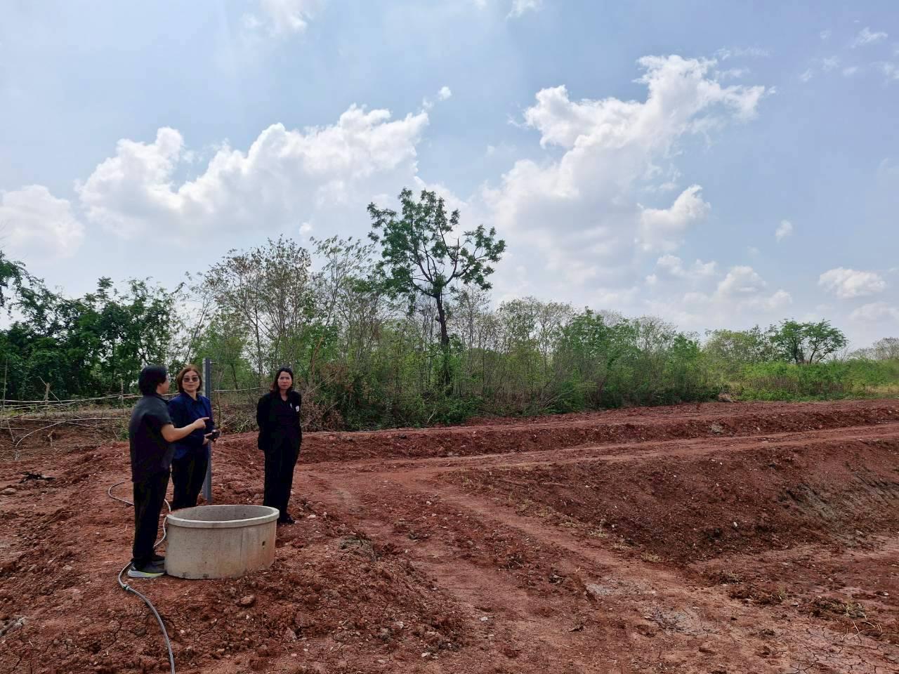 ภาพประกอบที่ 0