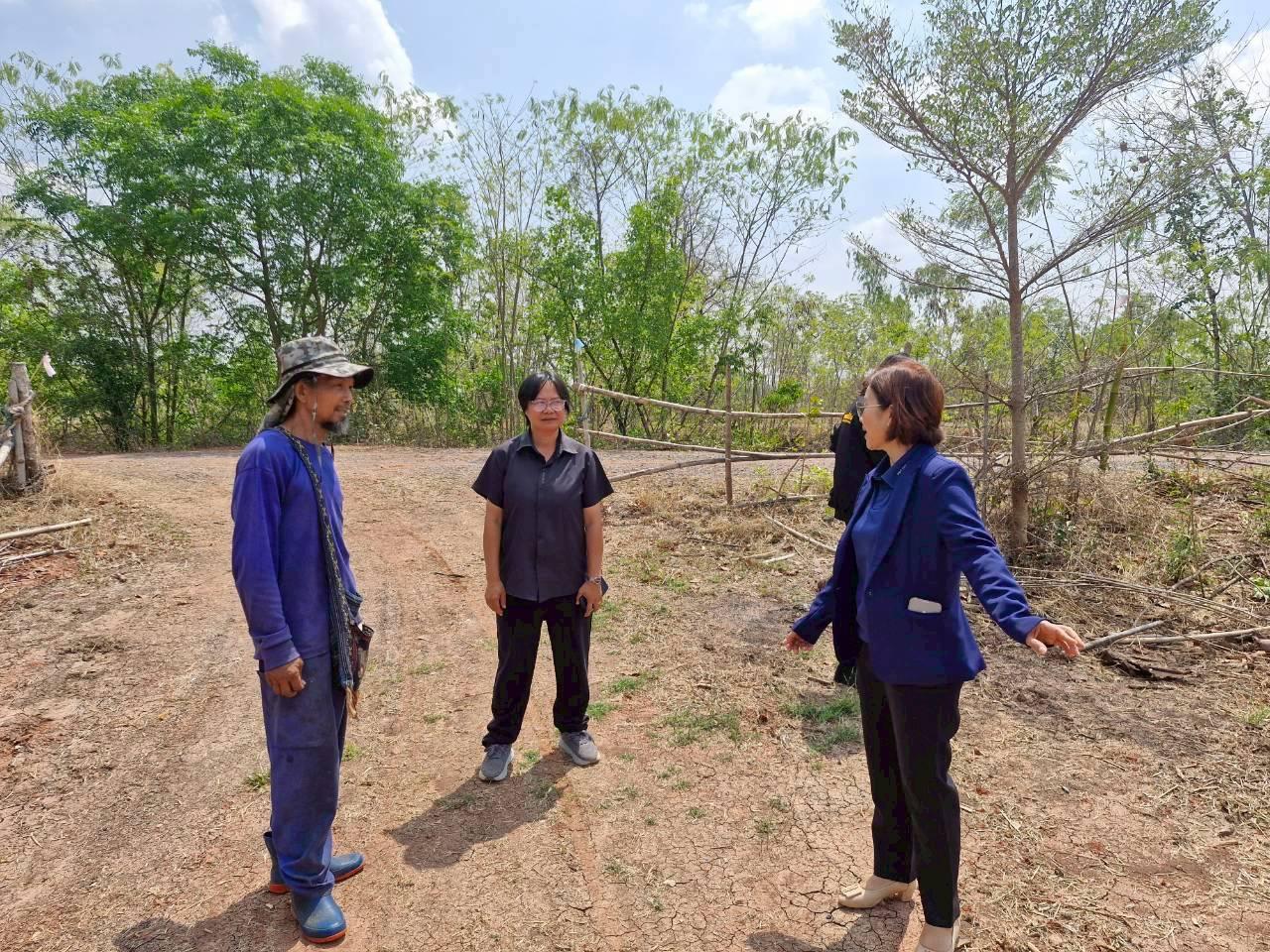 ภาพประกอบที่ 11