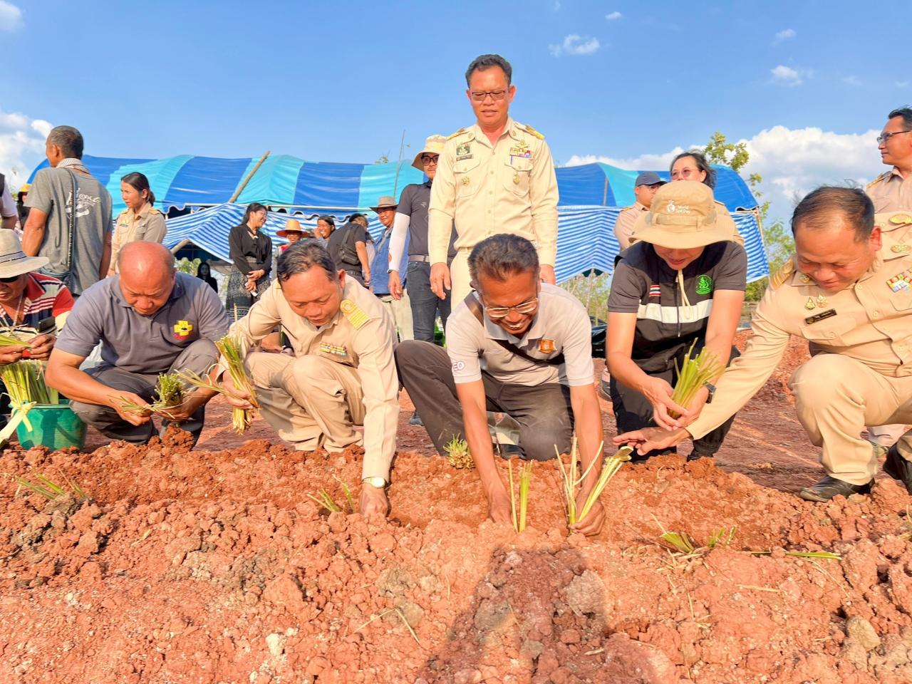 ภาพประกอบที่ 19