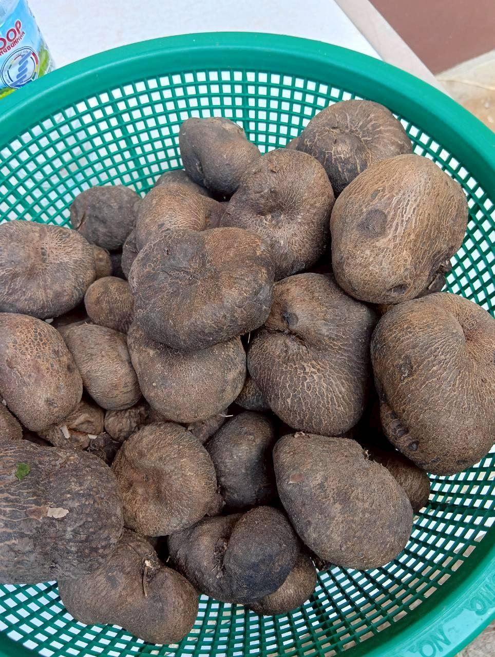 ภาพประกอบที่ 5