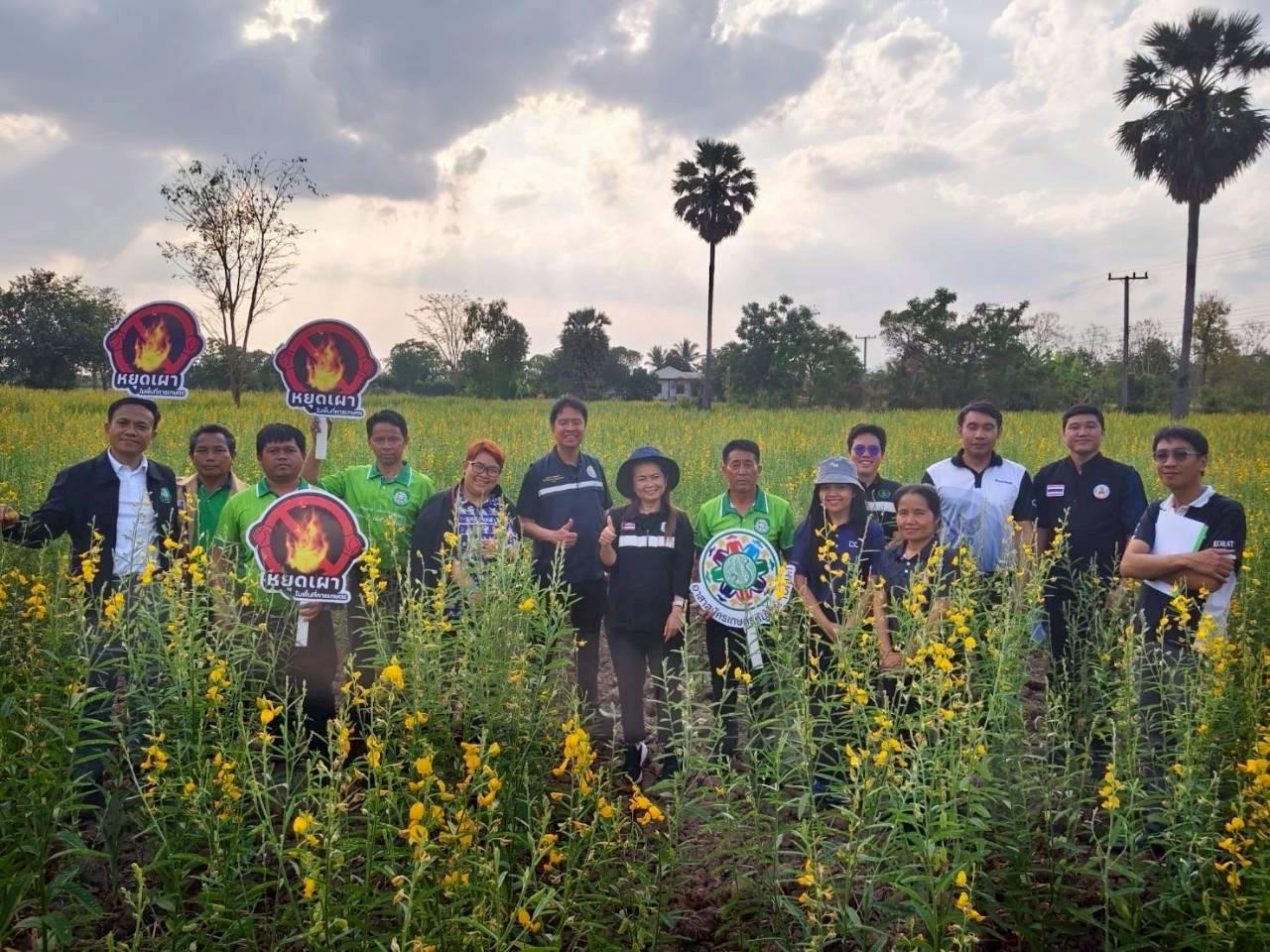 ภาพประกอบที่ 25