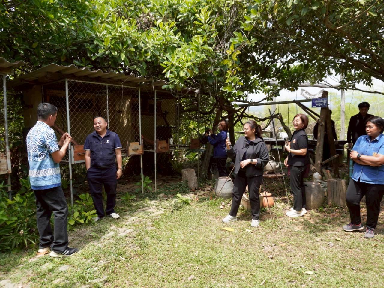 ภาพประกอบที่ 11