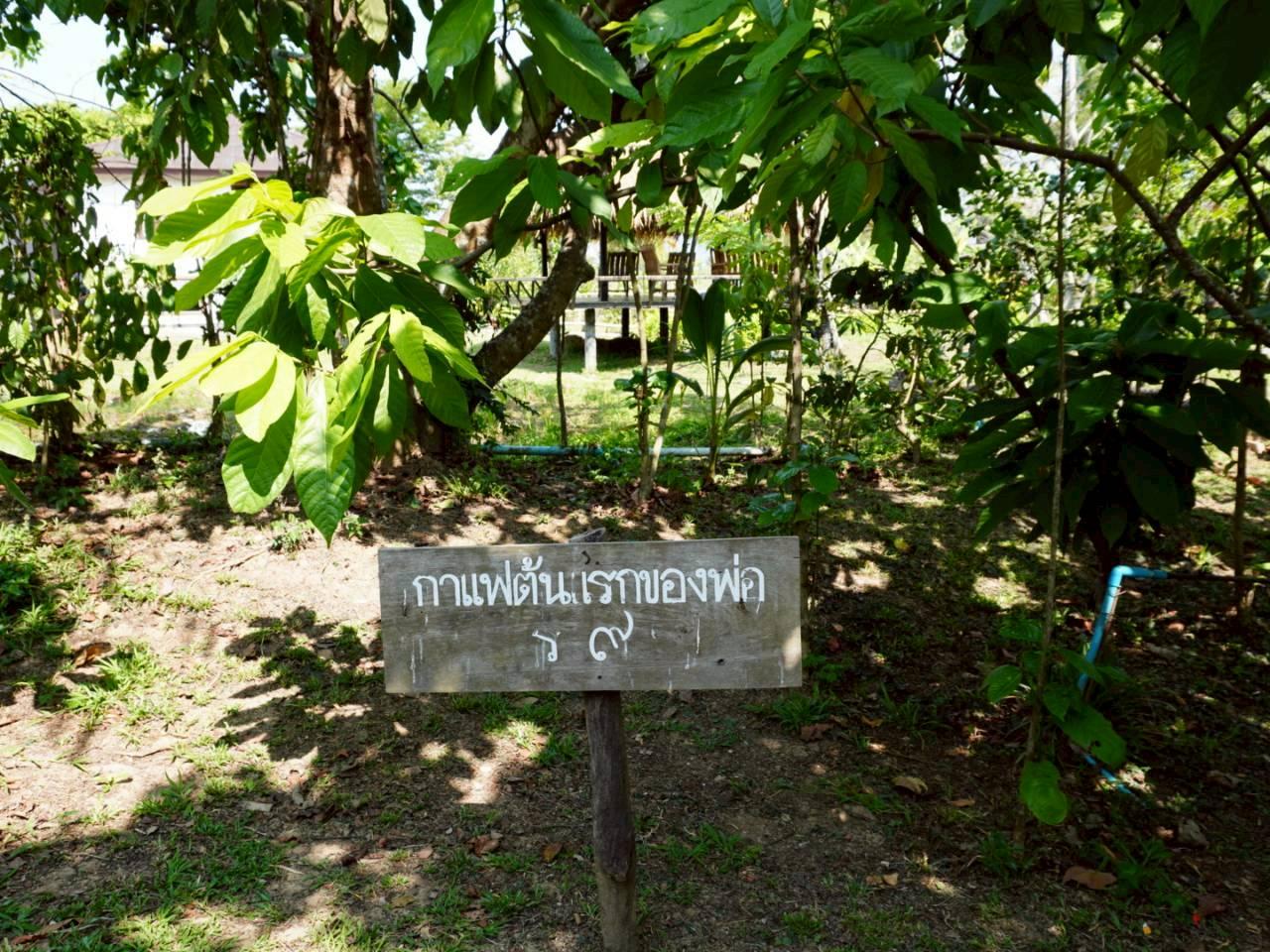 ภาพประกอบที่ 22