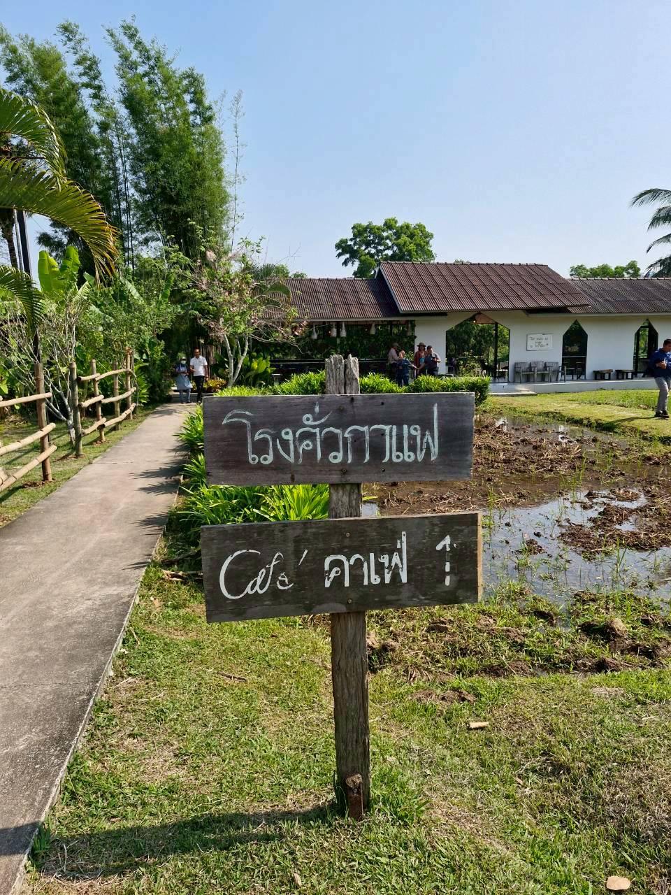 ภาพประกอบที่ 25