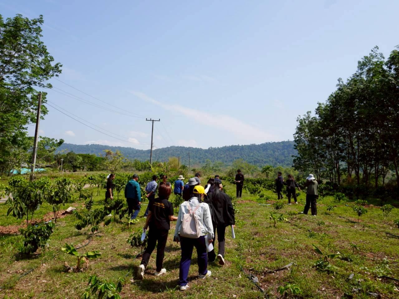ภาพประกอบที่ 32