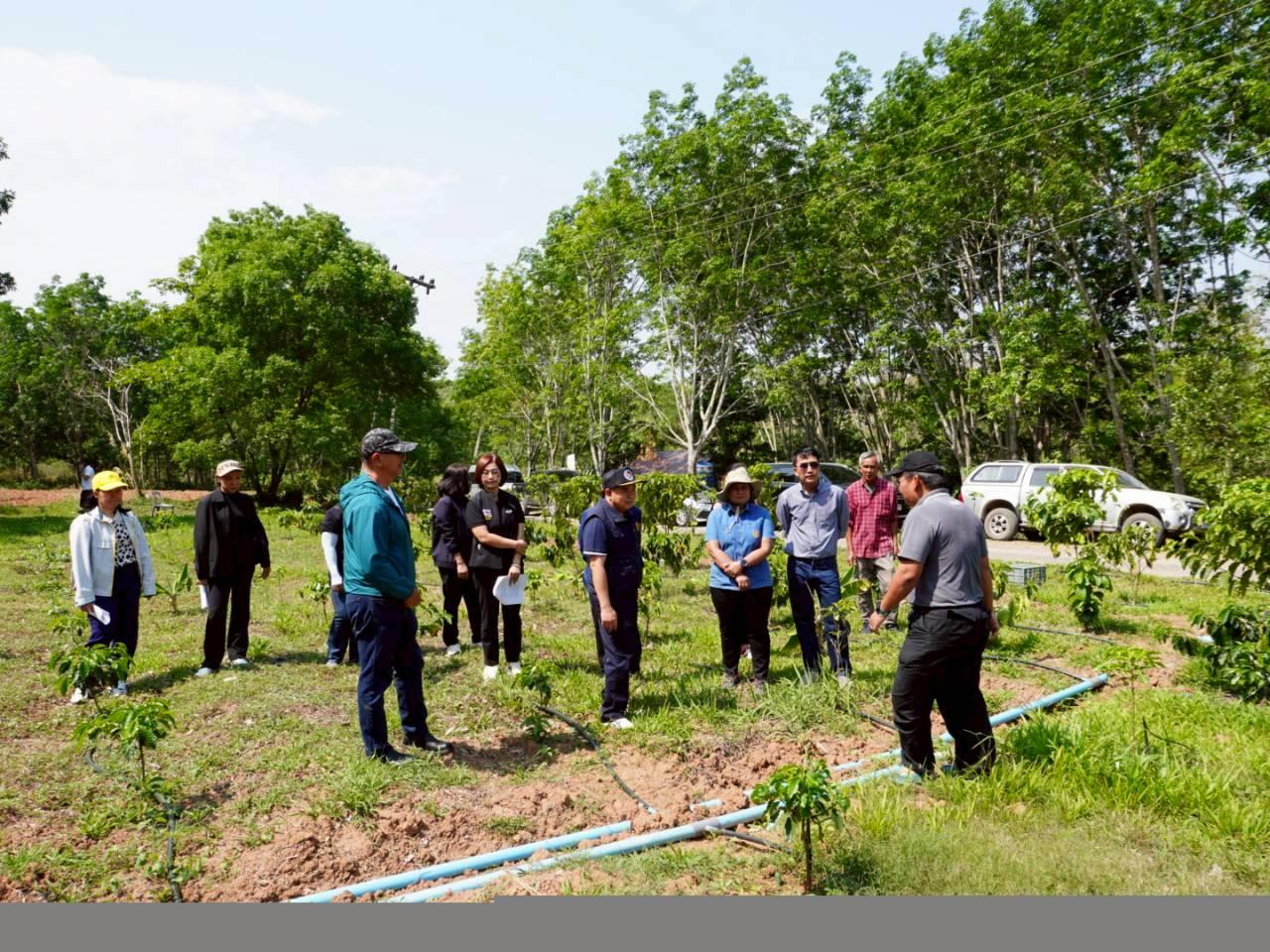 ภาพประกอบที่ 33