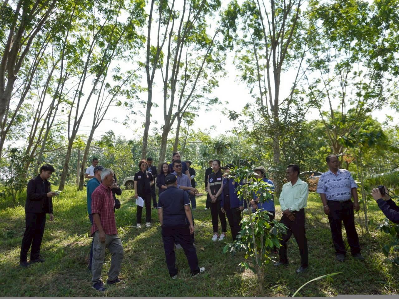 ภาพประกอบที่ 34