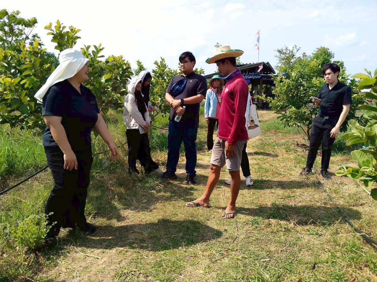 ภาพประกอบที่ 0