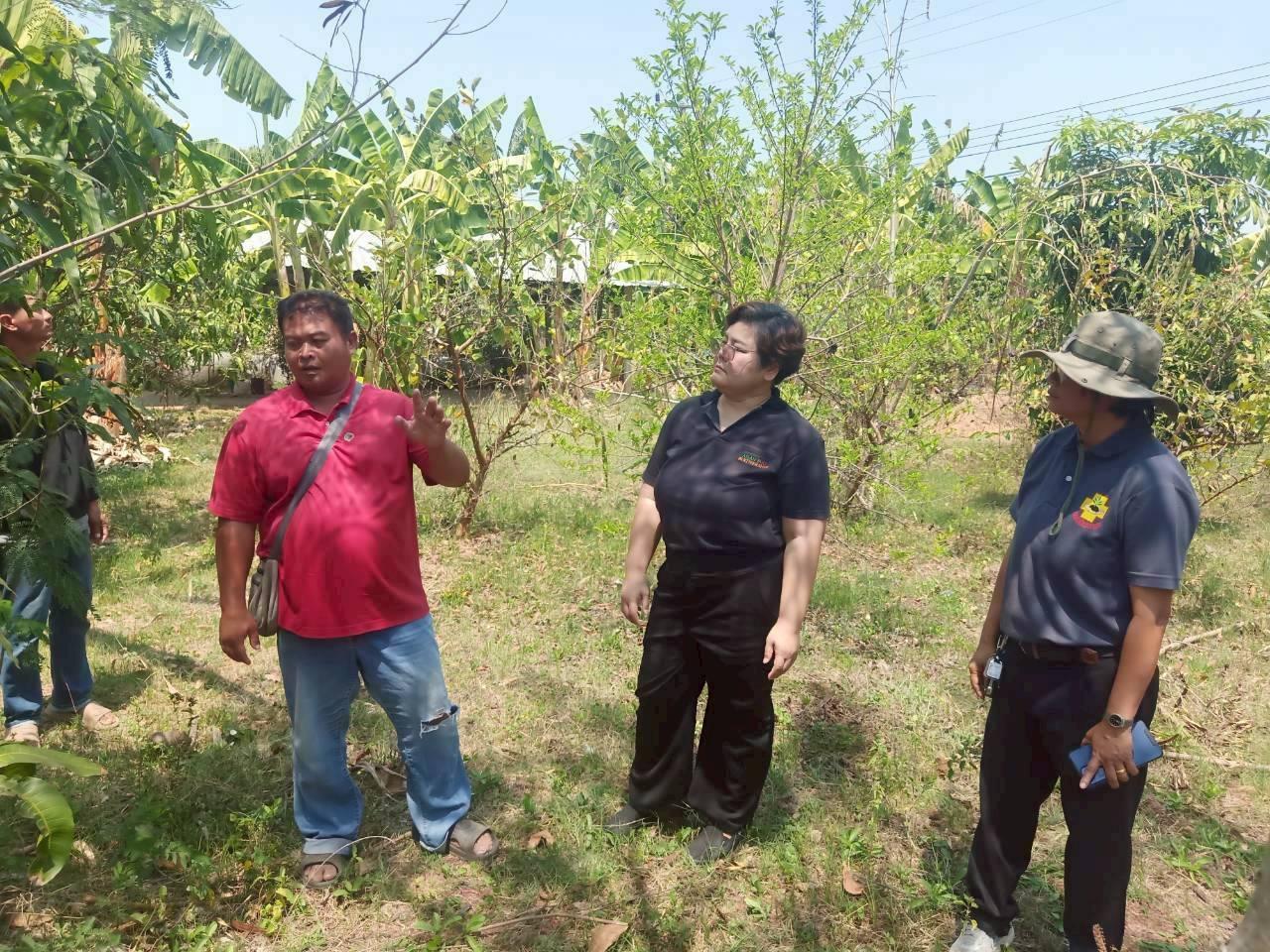 ภาพประกอบที่ 1