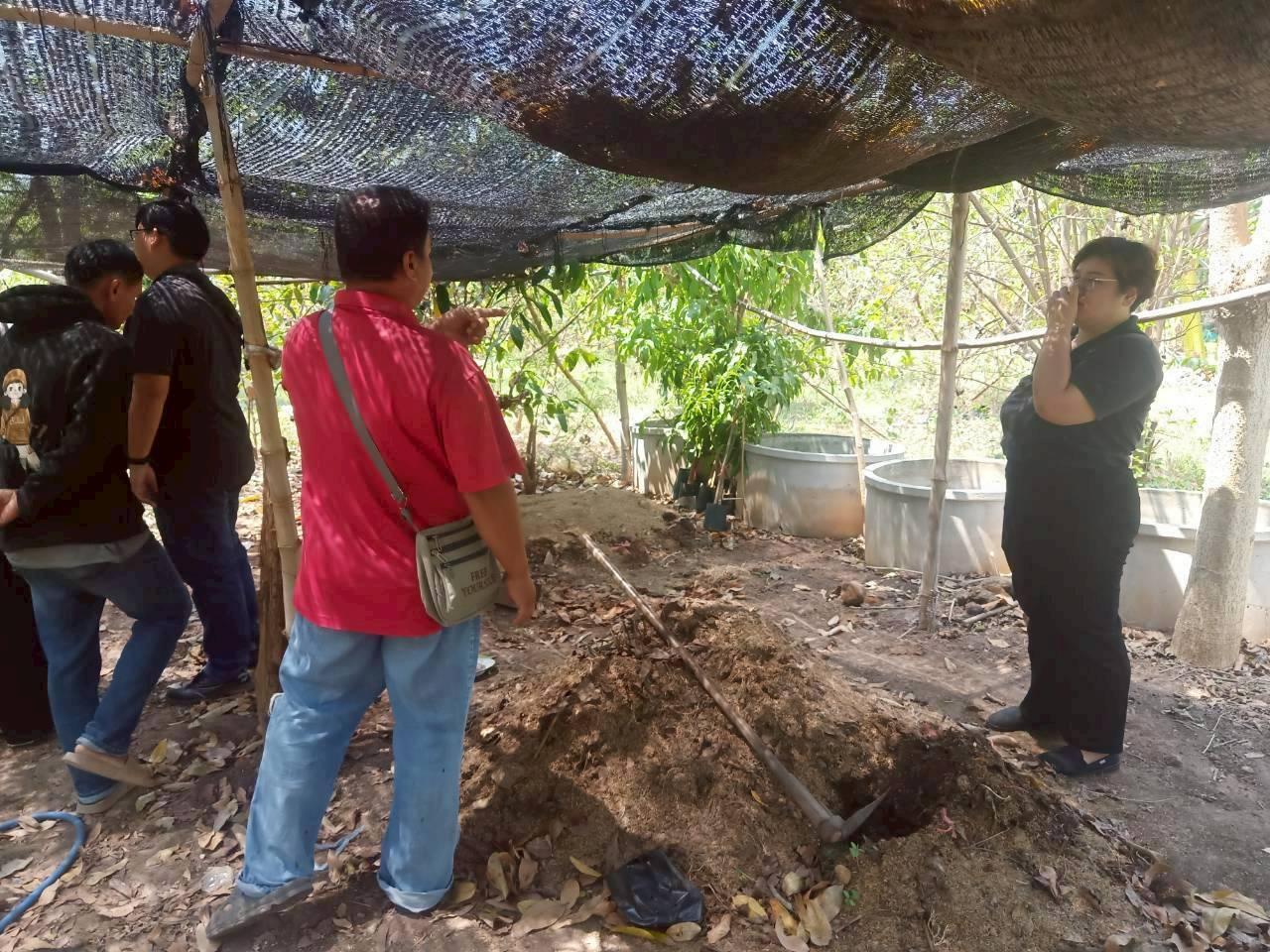 ภาพประกอบที่ 4