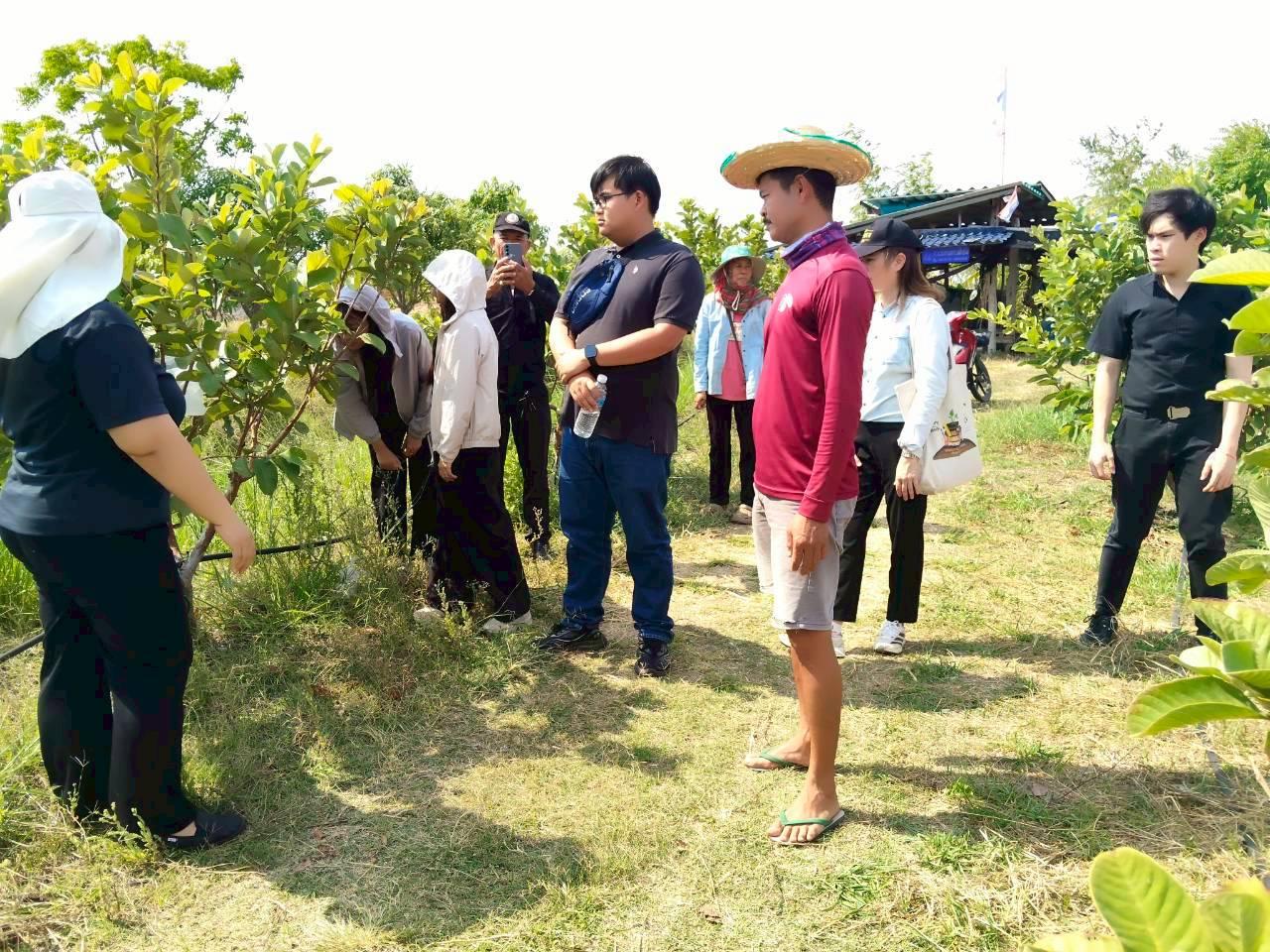 ภาพประกอบที่ 8