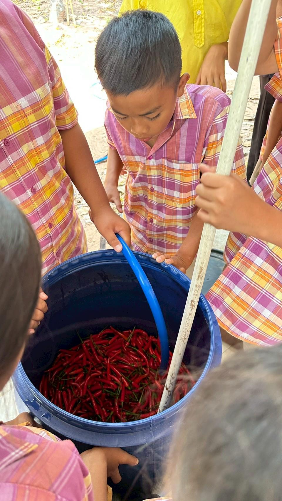 ภาพประกอบที่ 5