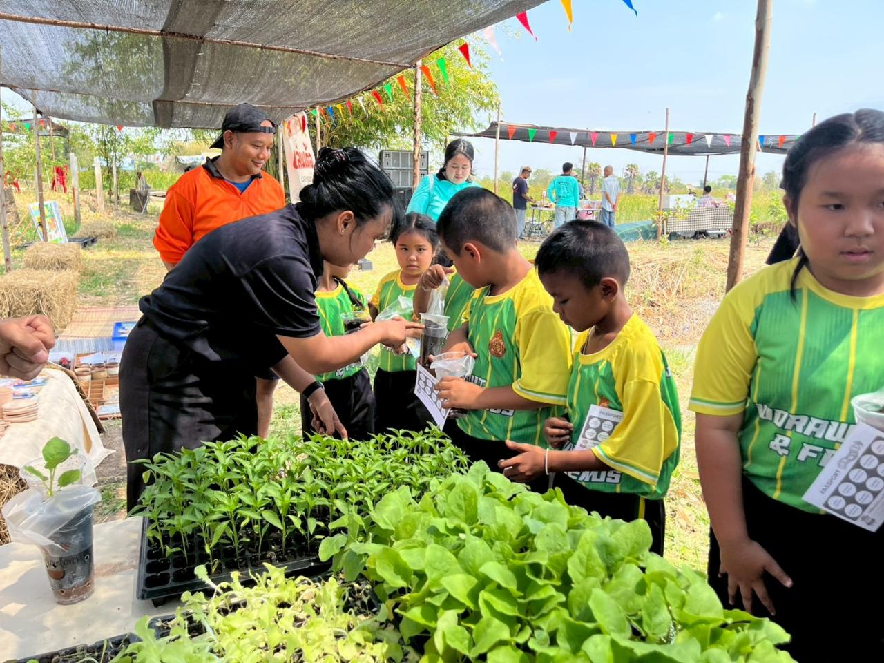 ภาพประกอบที่ 5