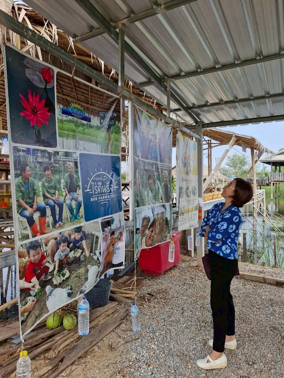 ภาพประกอบที่ 11