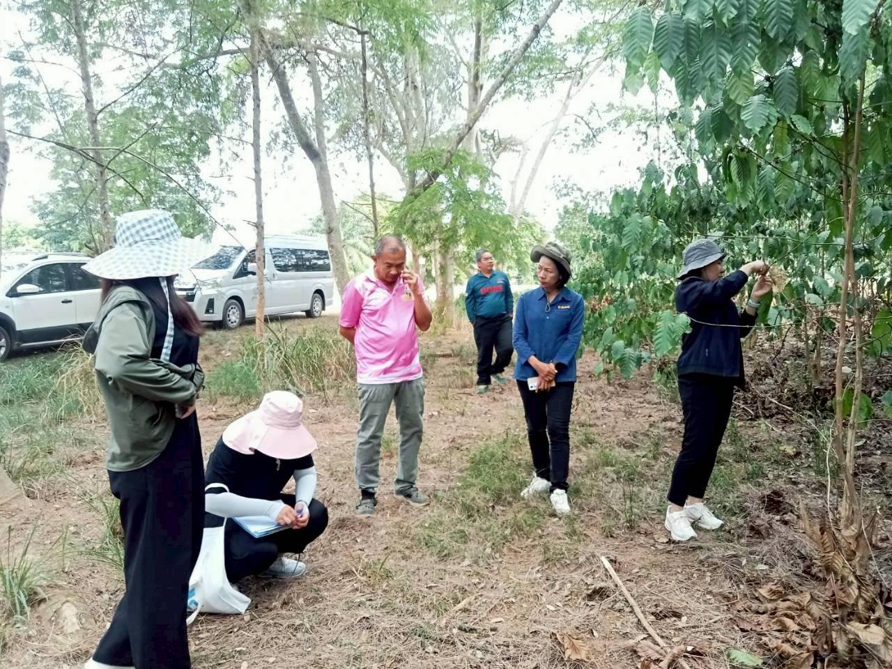 ภาพประกอบที่ 2