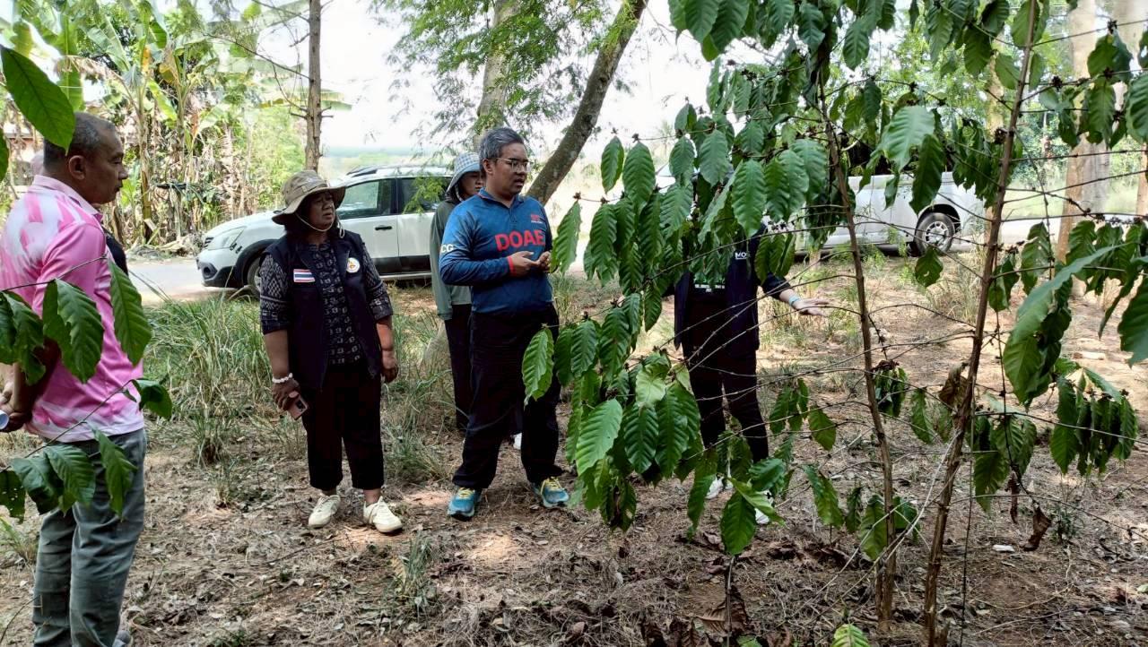 ภาพประกอบที่ 4