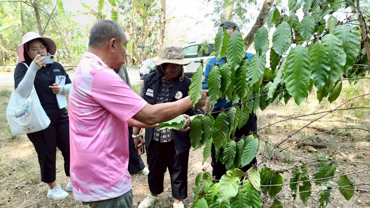 ภาพประกอบที่ 5
