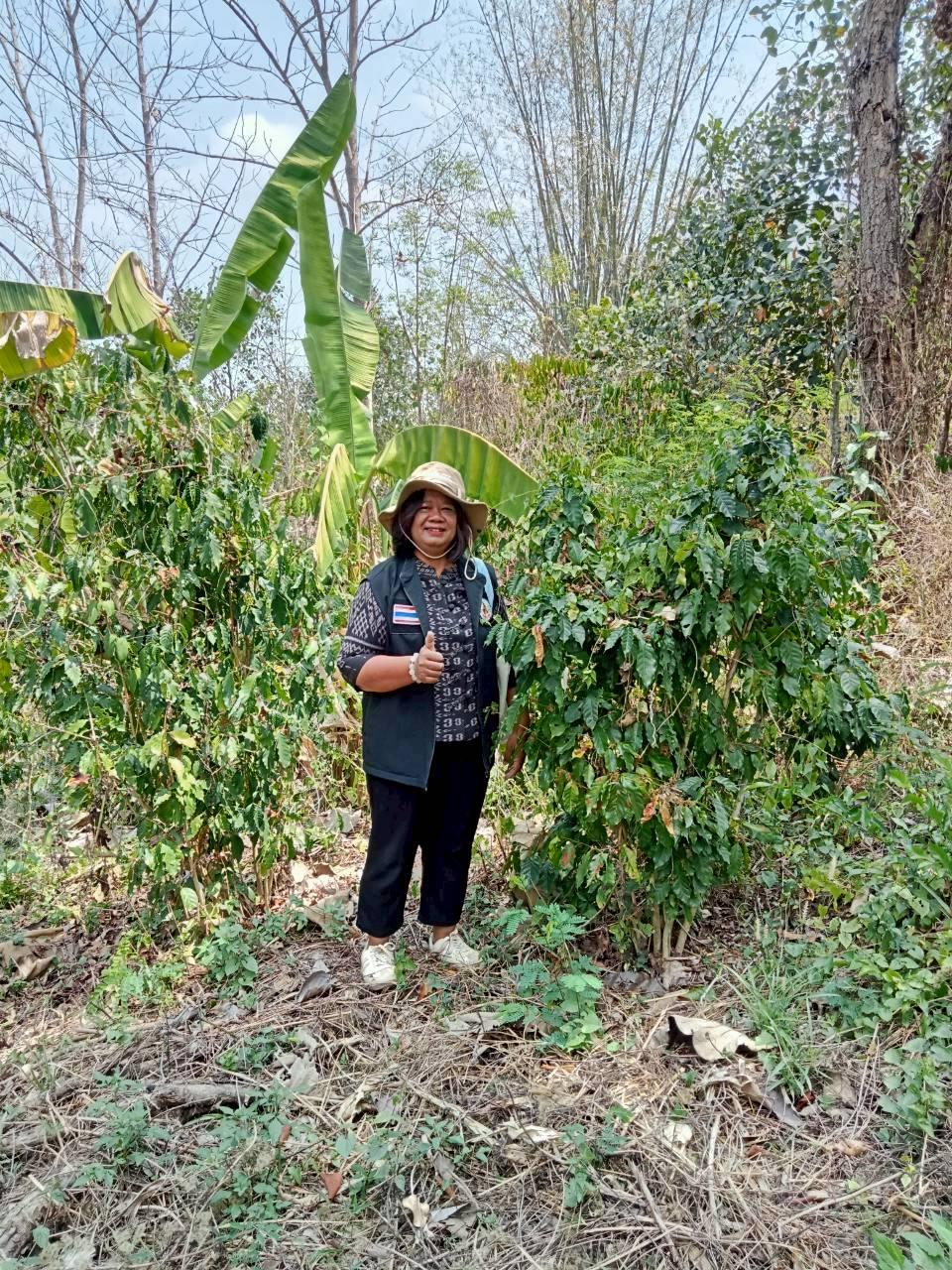 ภาพประกอบที่ 7