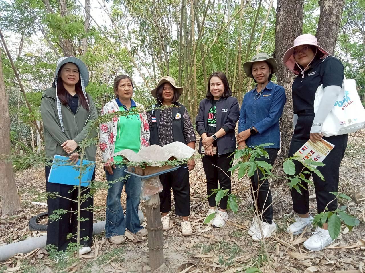 ภาพประกอบที่ 8