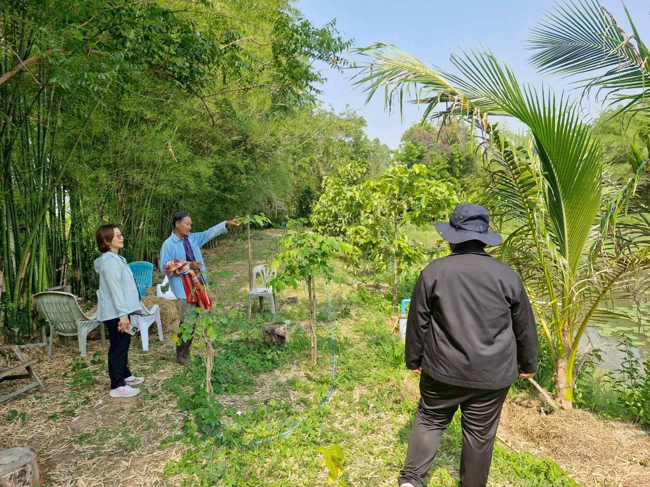 ภาพประกอบที่ 2
