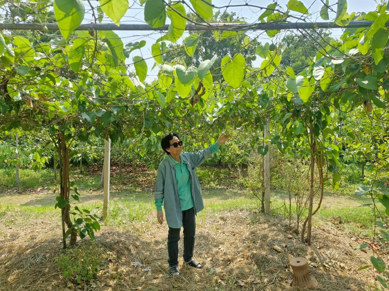 ภาพประกอบที่ 3