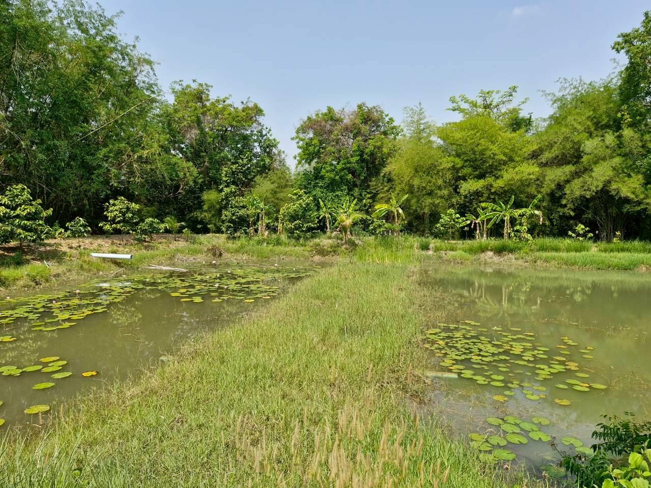 ภาพประกอบที่ 5