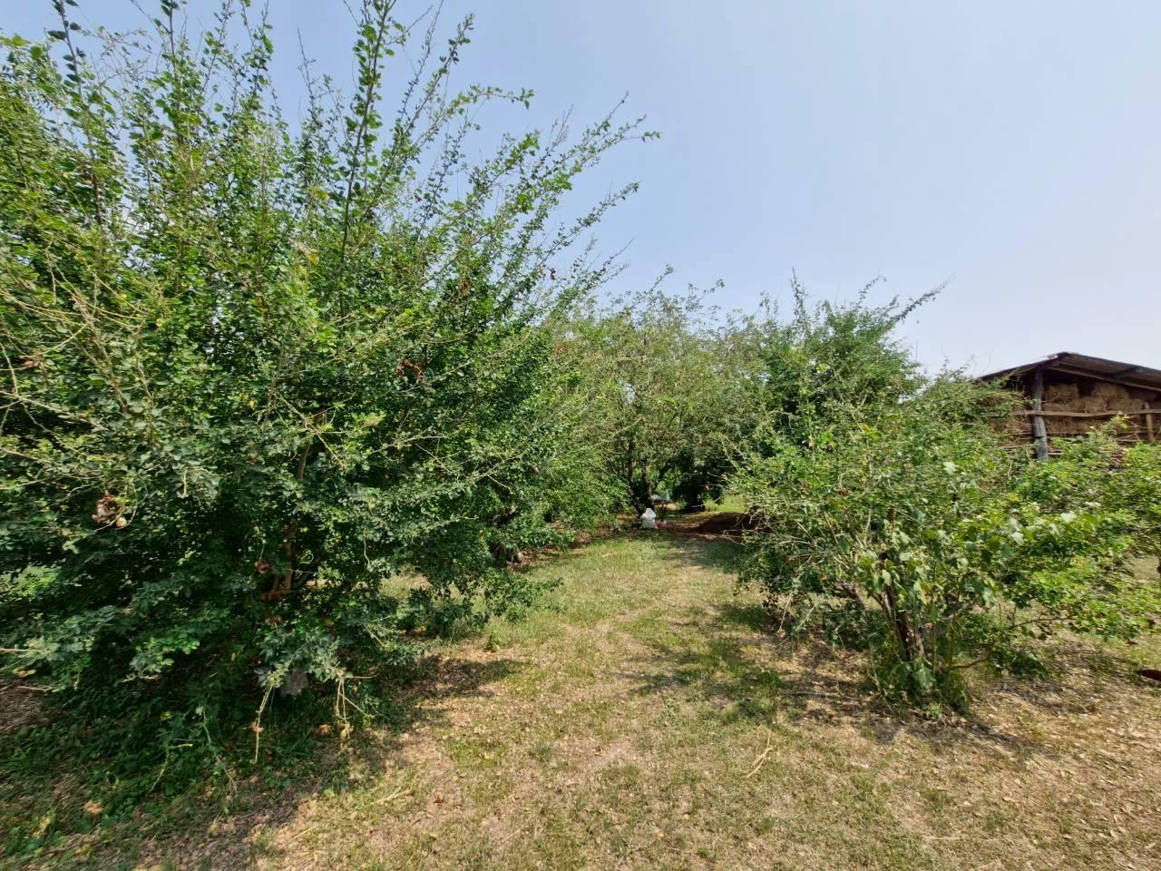 ภาพประกอบที่ 7