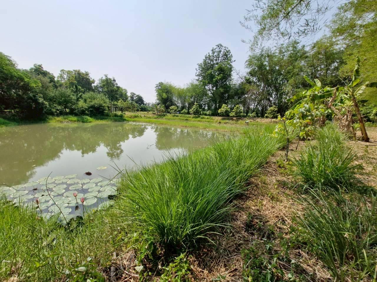 ภาพประกอบที่ 9