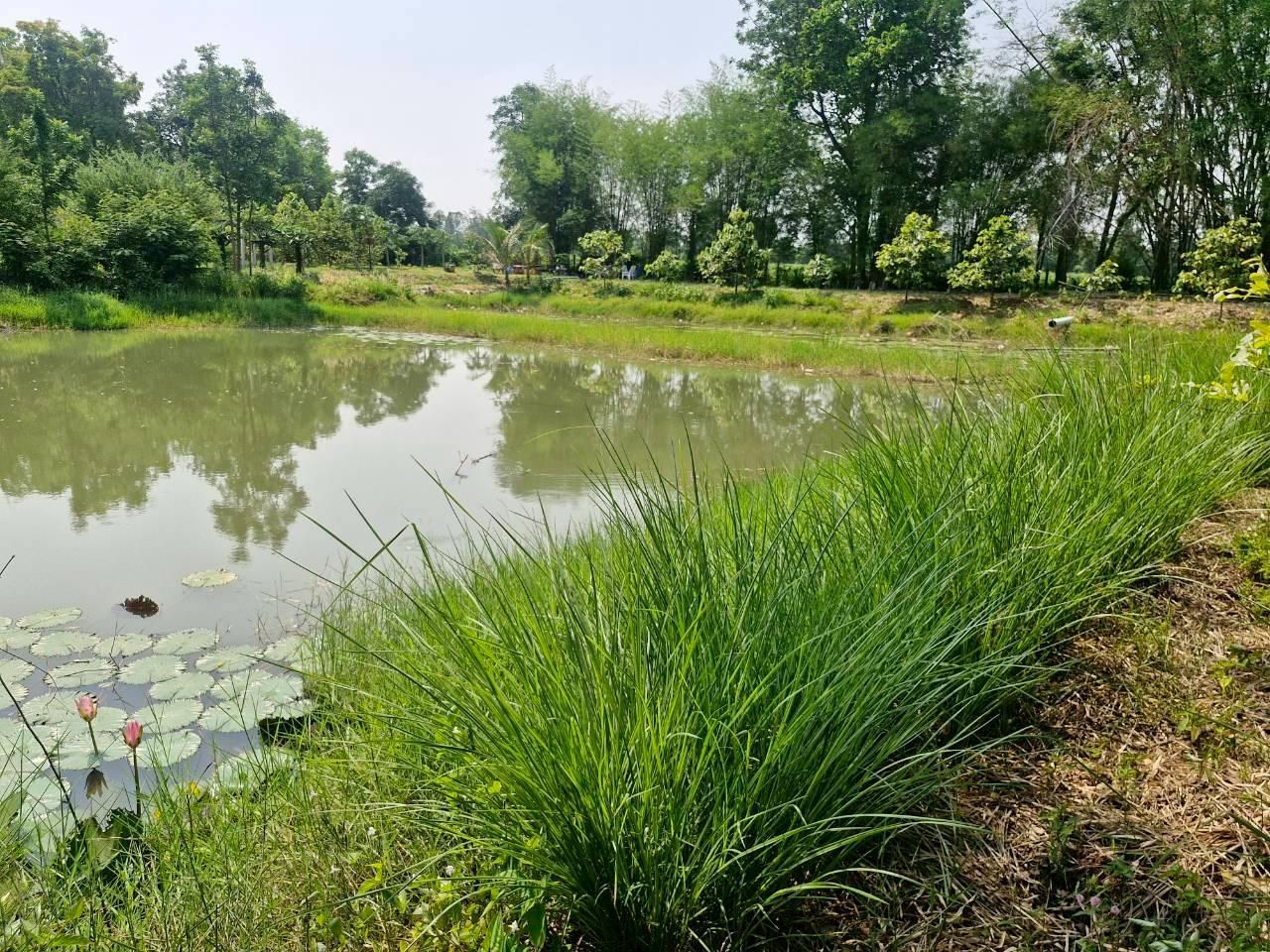 ภาพประกอบที่ 10