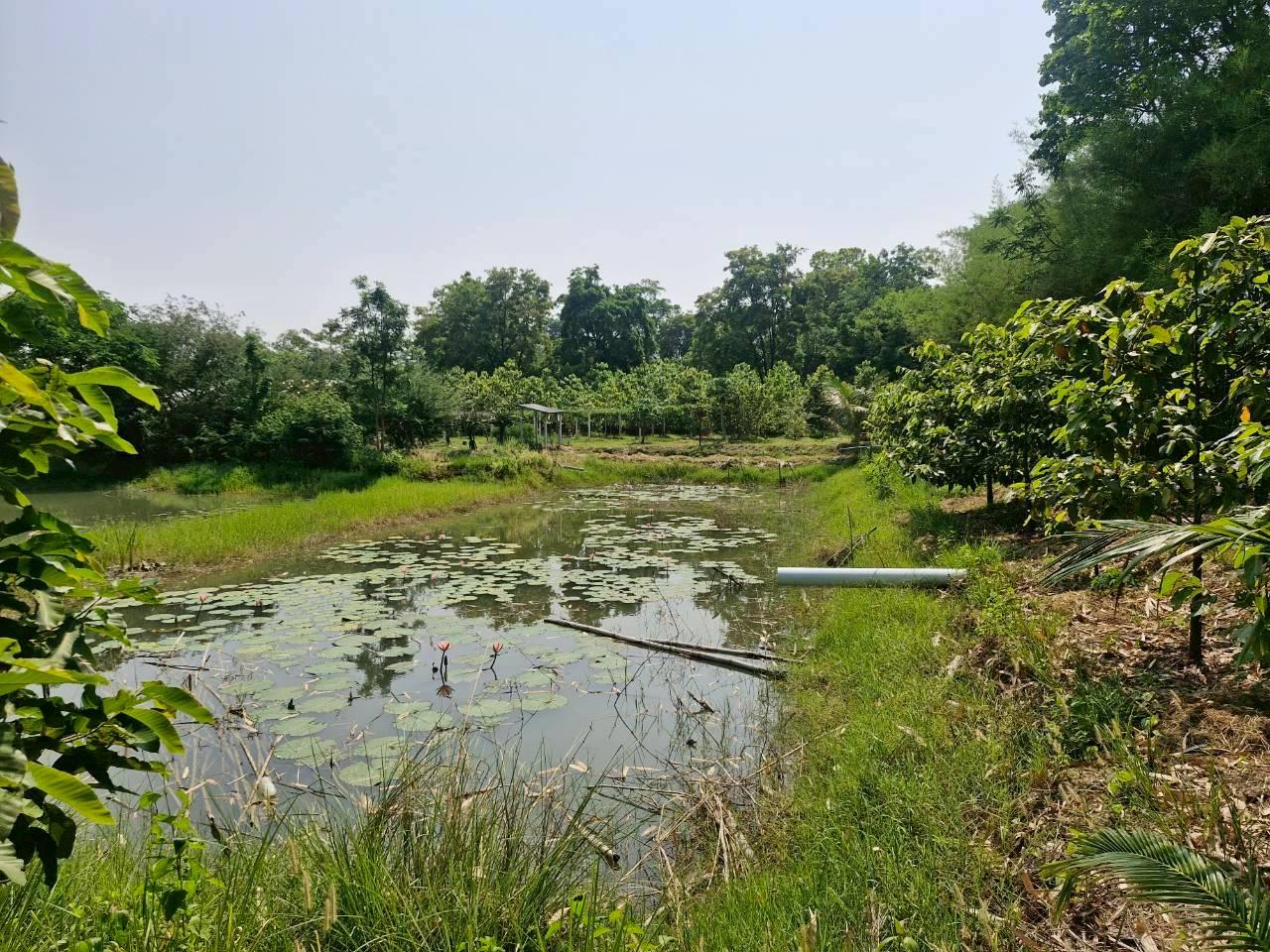 ภาพประกอบที่ 12