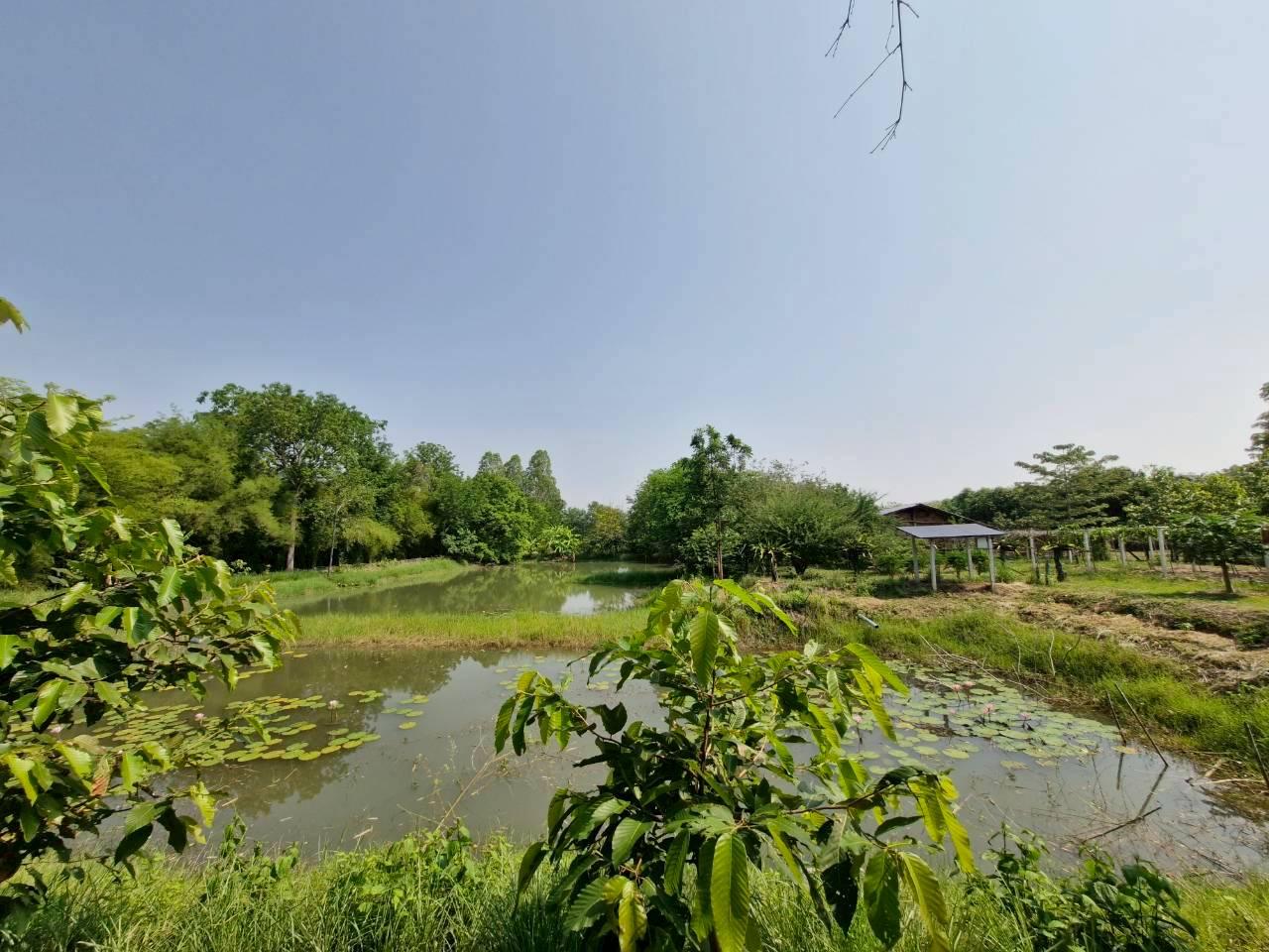 ภาพประกอบที่ 13