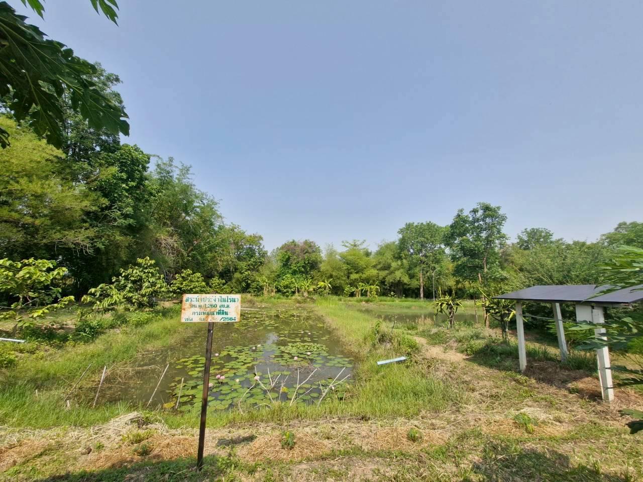 ภาพประกอบที่ 14