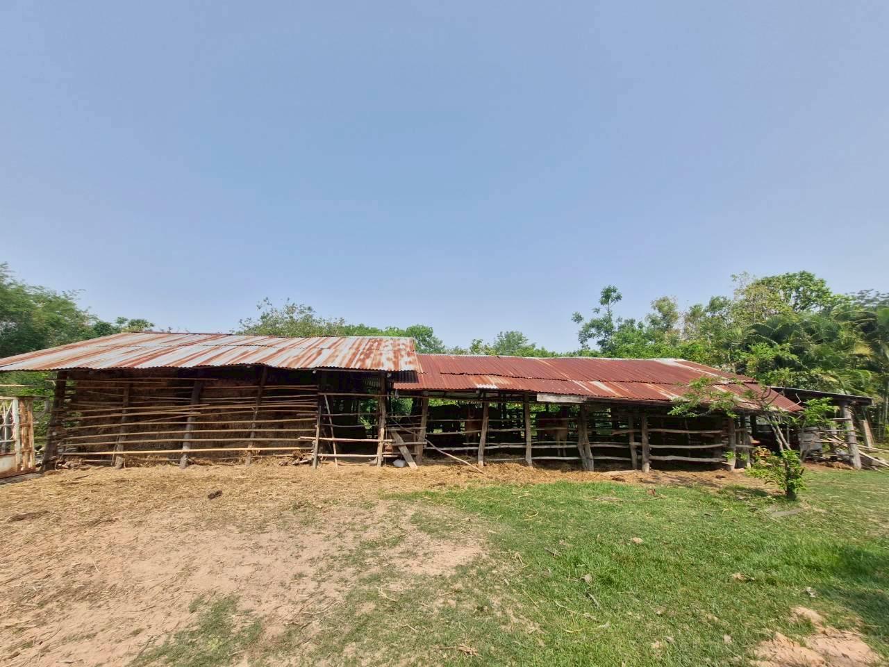 ภาพประกอบที่ 16