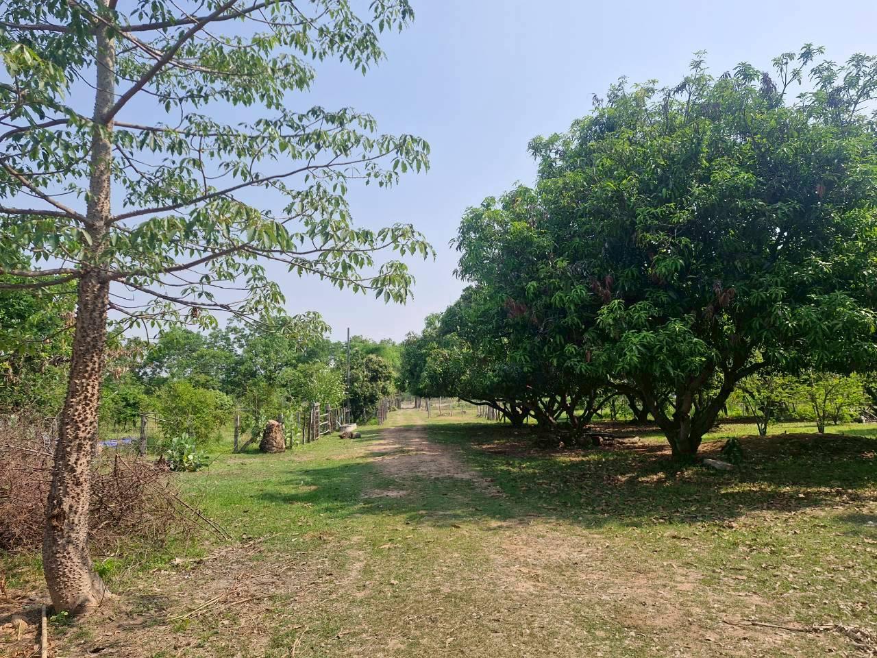 ภาพประกอบที่ 17