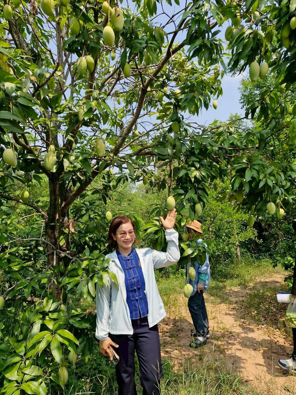 ภาพประกอบที่ 18