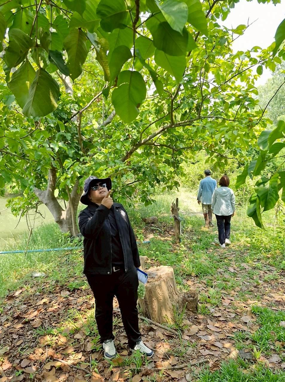 ภาพประกอบที่ 19