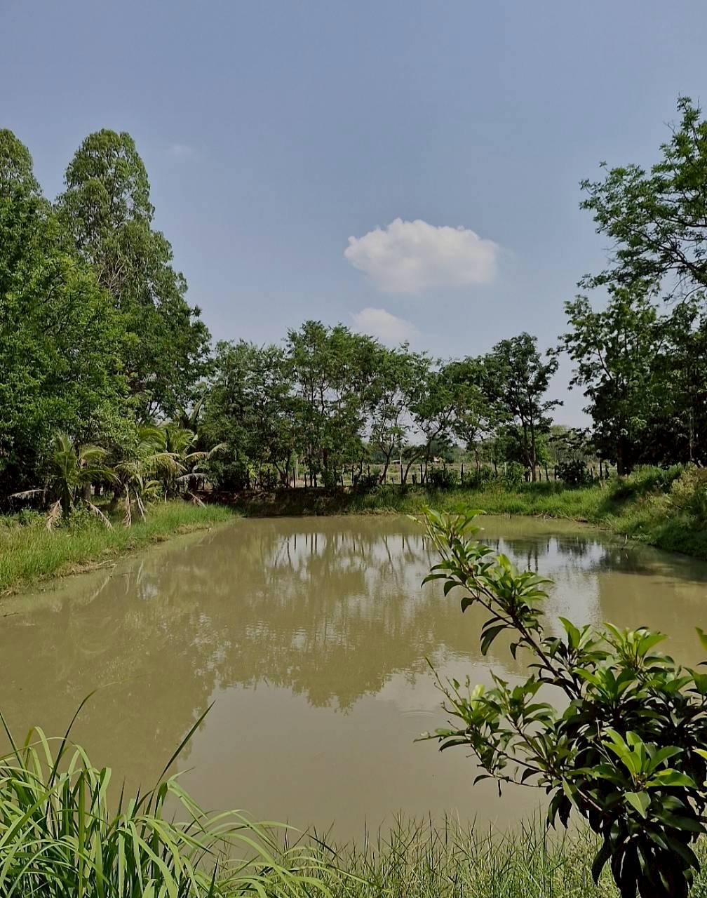 ภาพประกอบที่ 20