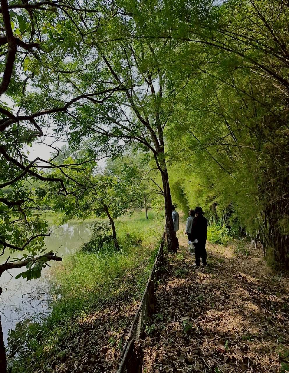 ภาพประกอบที่ 21