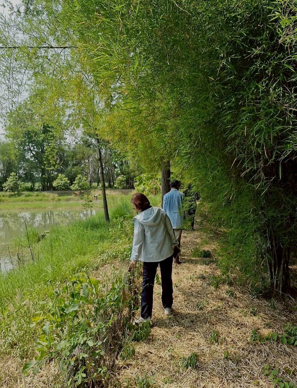 ภาพประกอบที่ 22