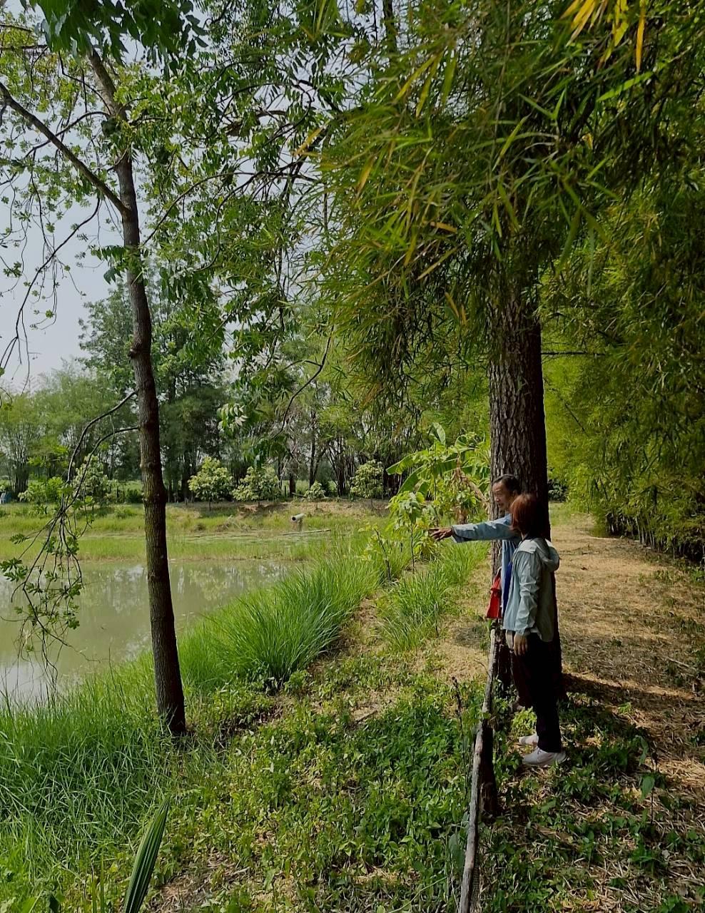 ภาพประกอบที่ 23