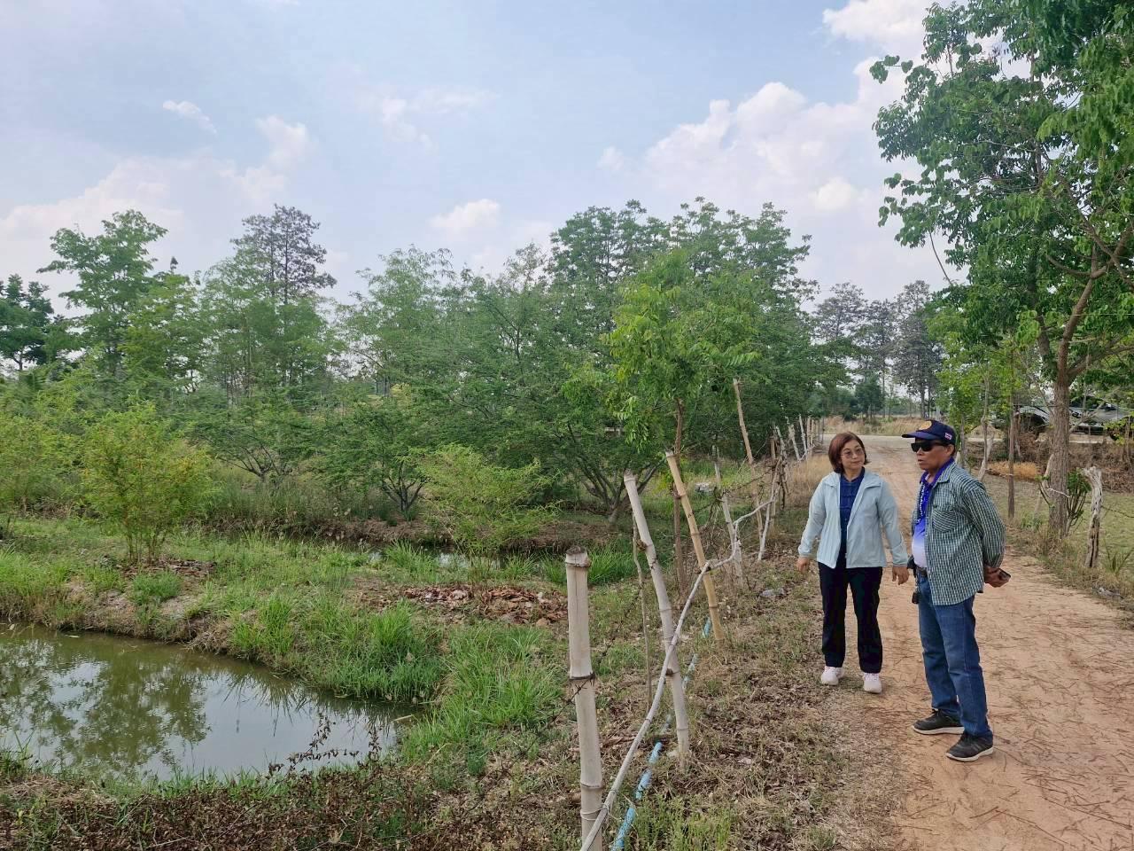 ภาพประกอบที่ 4