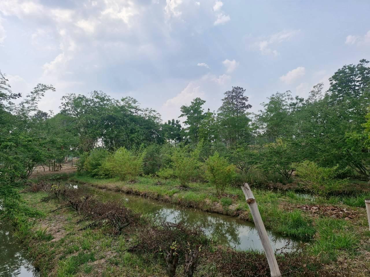 ภาพประกอบที่ 5