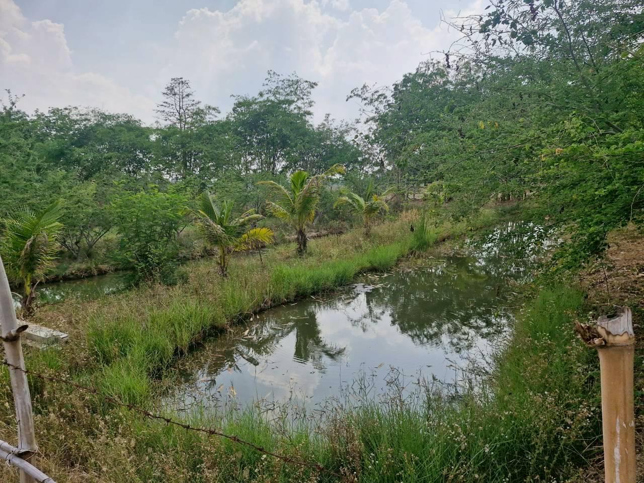 ภาพประกอบที่ 6