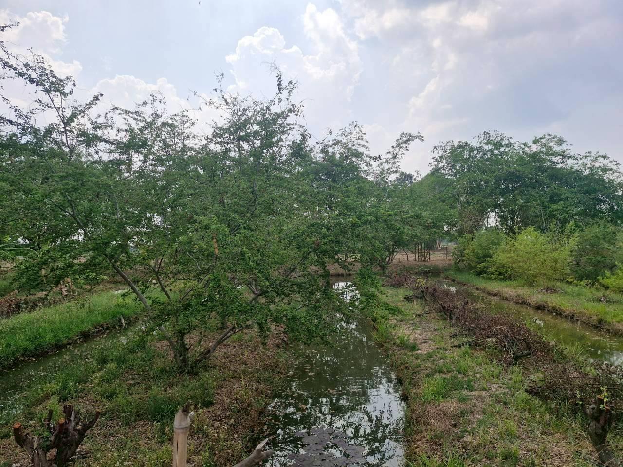 ภาพประกอบที่ 7