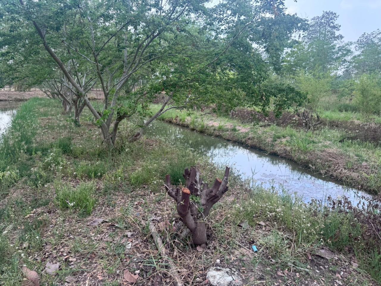 ภาพประกอบที่ 10