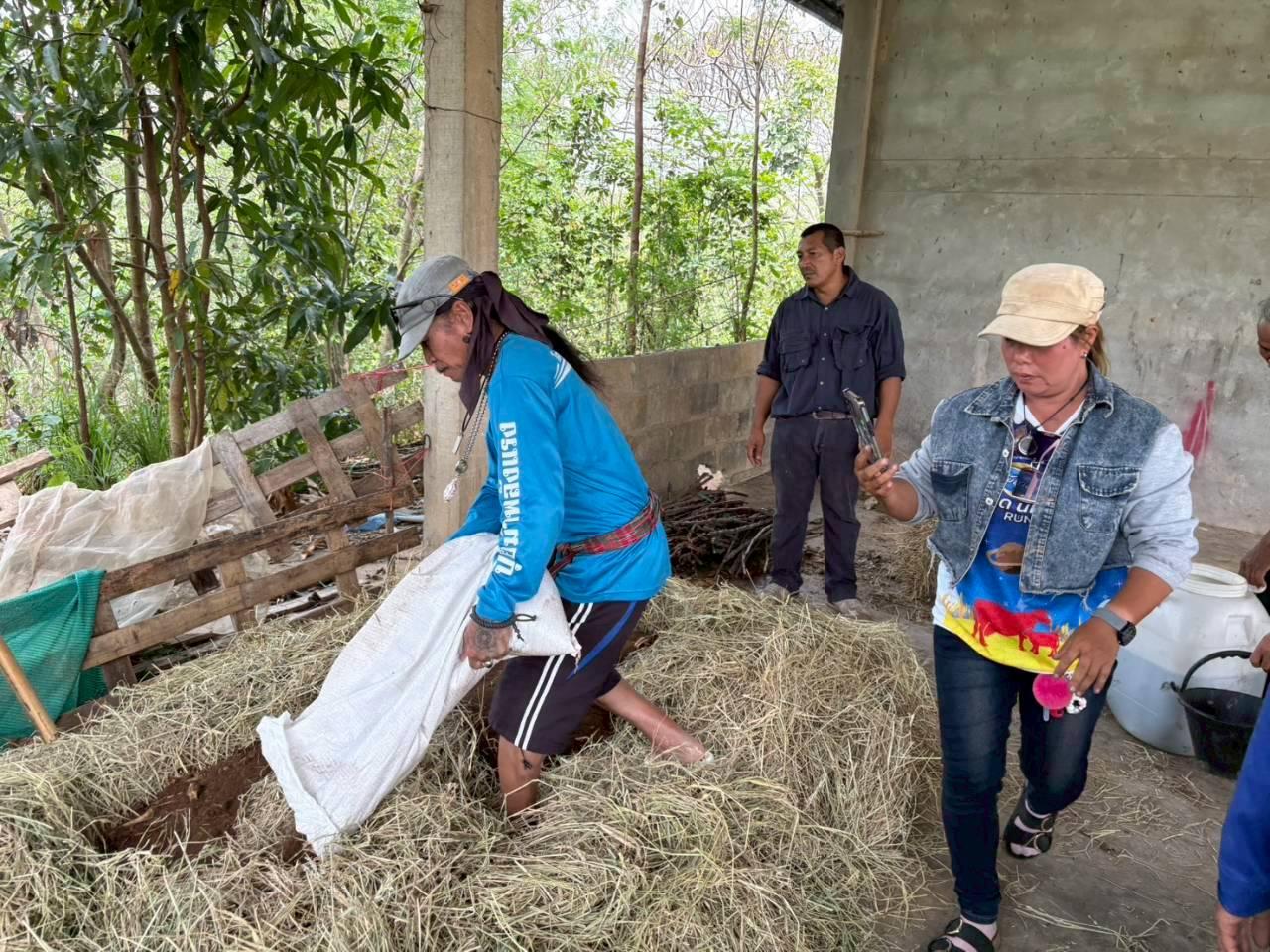 ภาพประกอบที่ 6