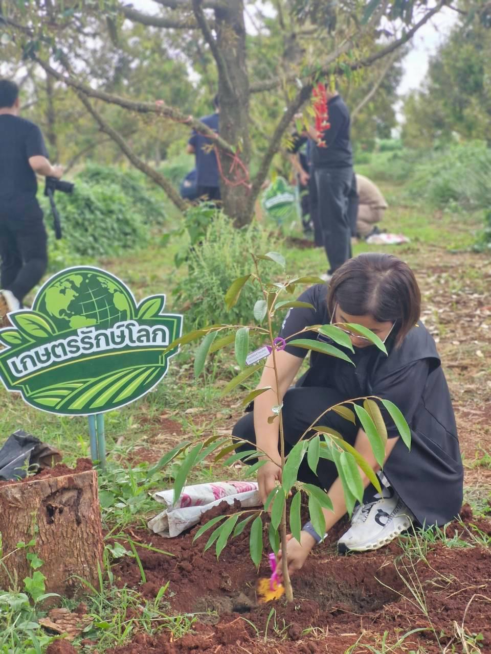 ภาพประกอบที่ 53